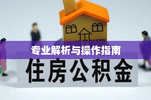 七堵专业解析与操作指南