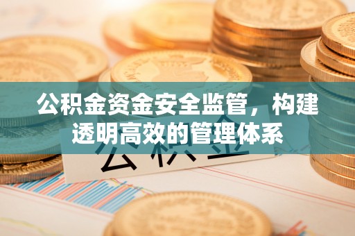 七堵公积金资金安全监管，构建透明高效的管理体系